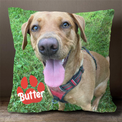 18x18 Pillow - Personalized Pet Pillow, Custom Pillows with Picture